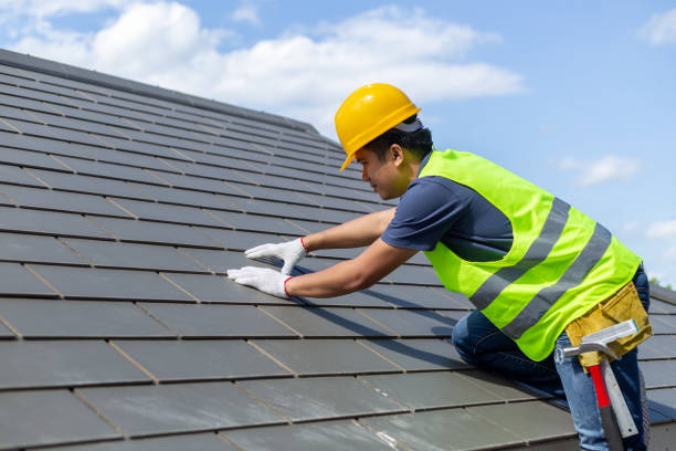 Best New Roof Installation  in Morris, MN