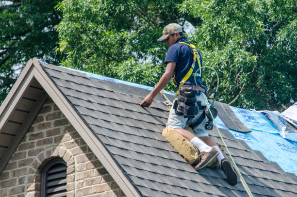 Best Roof Gutter Cleaning  in Morris, MN