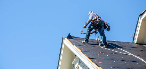 Best Roof Restoration Services  in Morris, MN